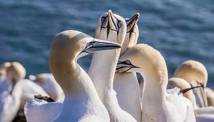 开云体育中国官方网站-体育科技助推青少年足球训练航，虚拟仿真成行业新宠，青少年足球体验课活动流程