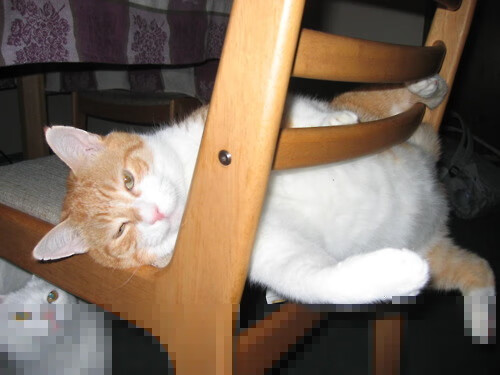 关键封盖：李磊最后一刻封阻上海队的必杀投篮！，李磊 球员