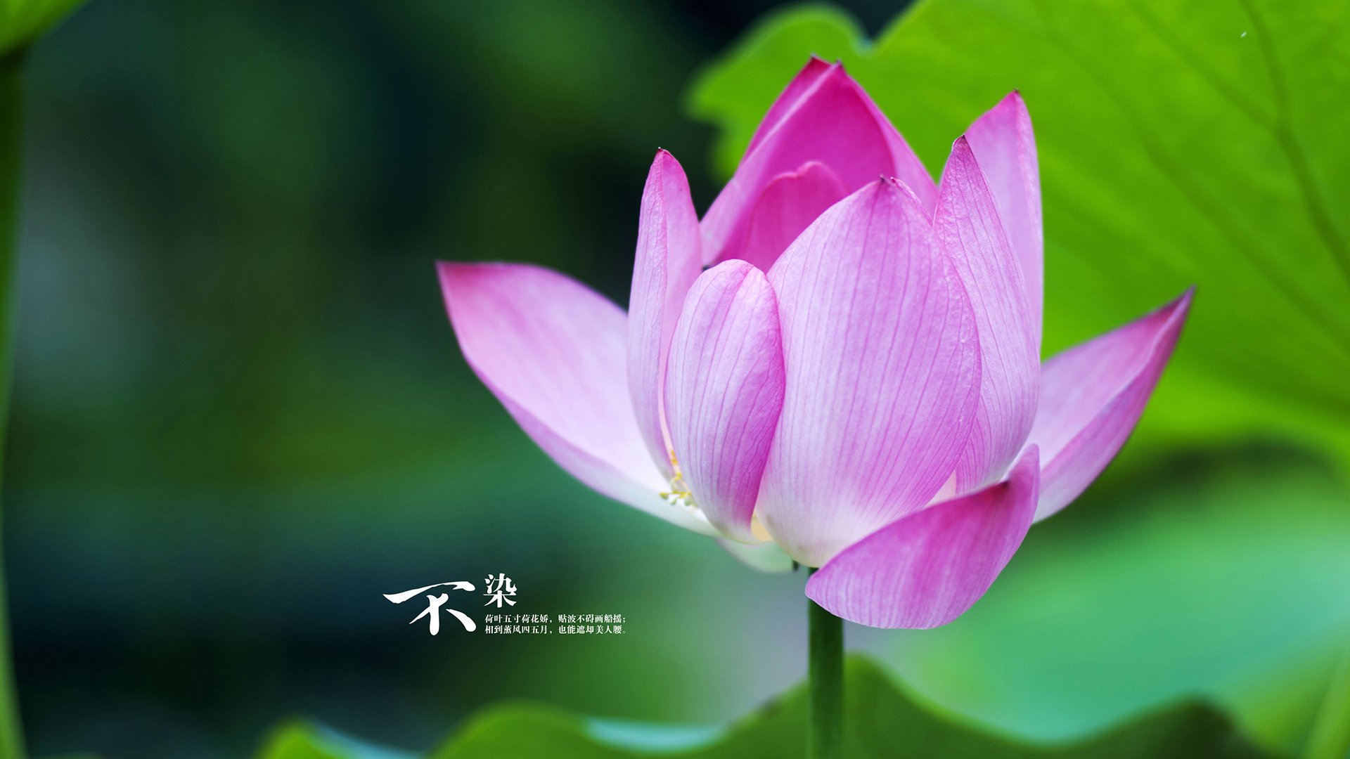 公开赛季：球队的交易和引援大盘点，2021球员交易