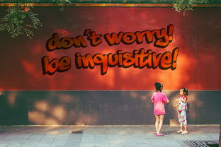 kaiyun网站-命中率奇高的经典比赛整理，命中率极高